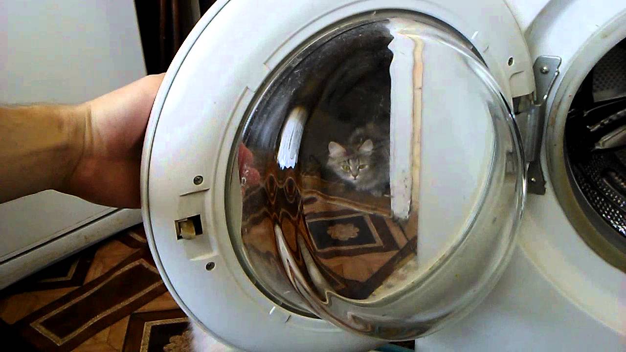 Заміна люка в пралках